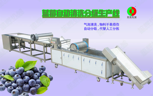 镇赉蓝莓/蔬果全自动清洗分级生产线